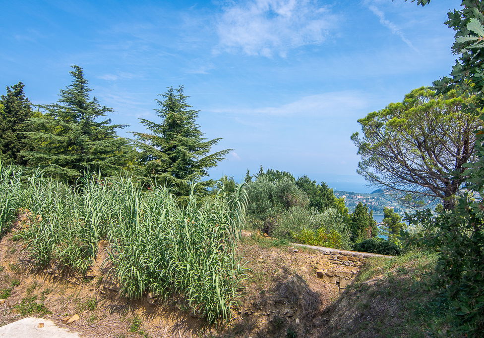 Lokacija: Obalno - kraška, Piran, Šentjane