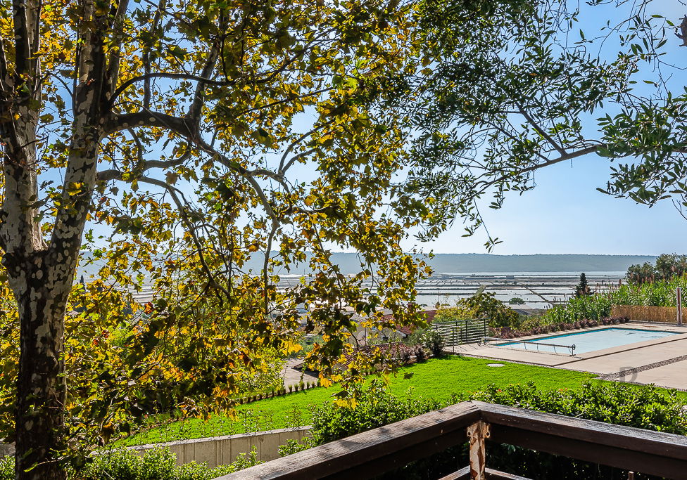 Location: Coastal-Karst, Piran, Seča