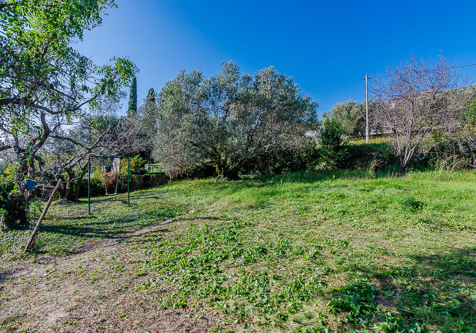 Location: Coastal-Karst, Piran, Seča