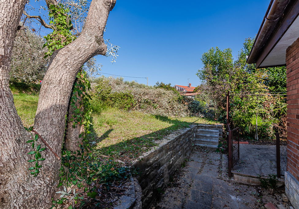 Location: Coastal-Karst, Piran, Seča