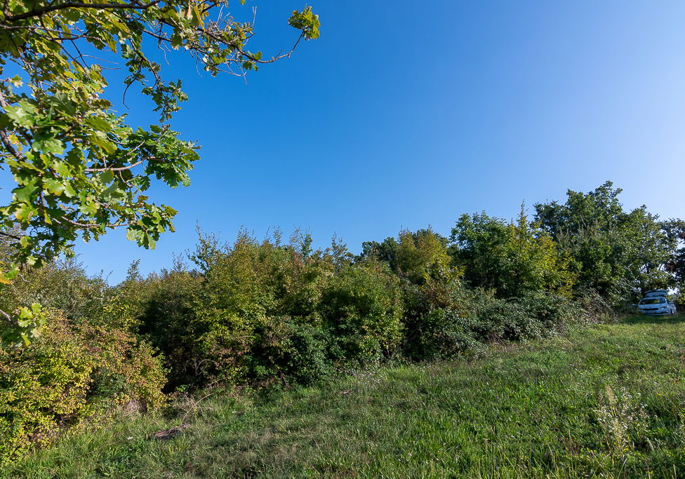 Lokacija: Obalno - kraška, Piran, Sv. Peter