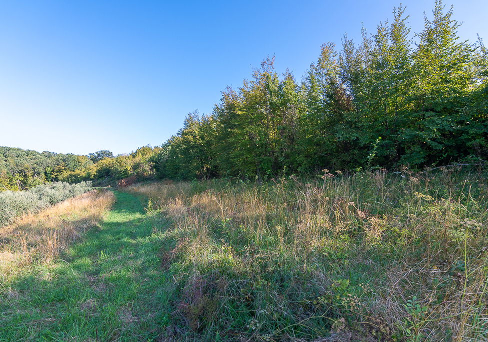 Lokacija: Obalno - kraška, Piran, Sv. Peter