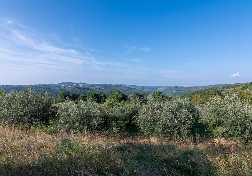 Lokacija: Obalno - kraška, Piran, Sv. Peter