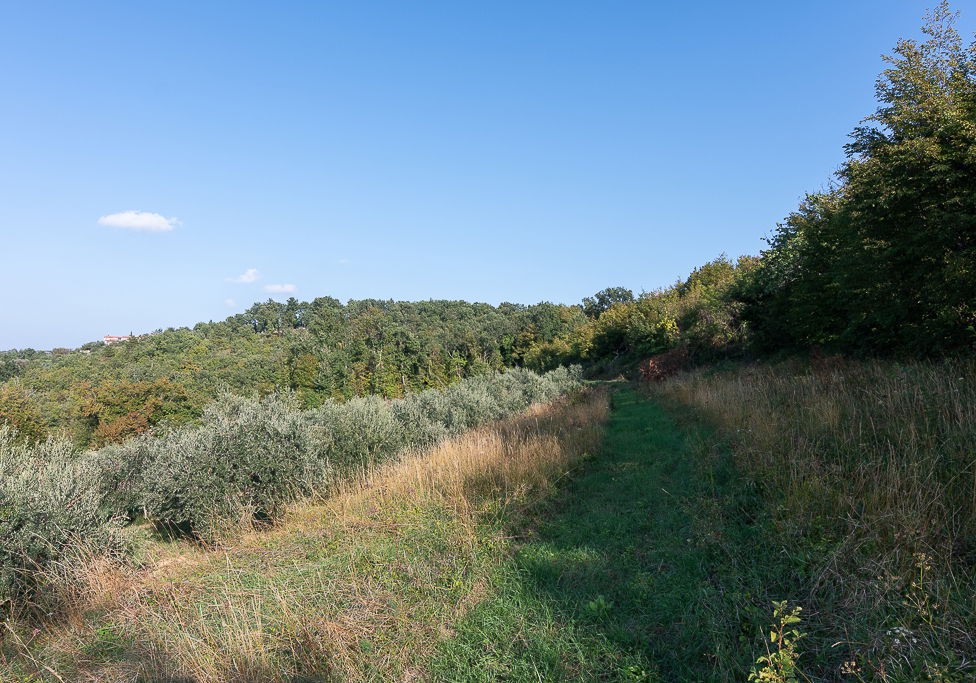 Lokacija: Obalno - kraška, Piran, Sv. Peter
