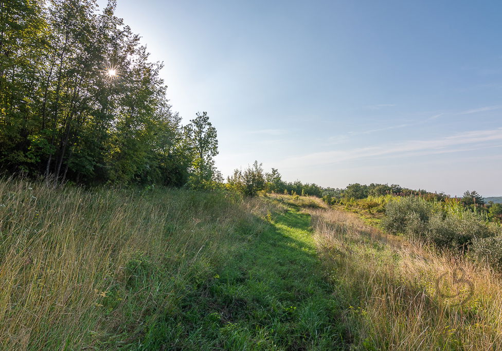 Lokacija: Obalno - kraška, Piran, Sv. Peter