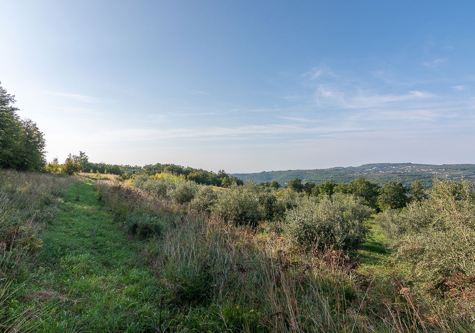 Lokacija: Obalno - kraška, Piran, Sv. Peter