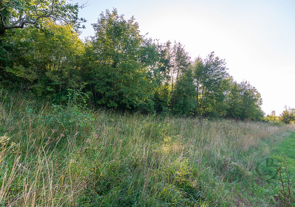 Lokacija: Obalno - kraška, Piran, Sv. Peter