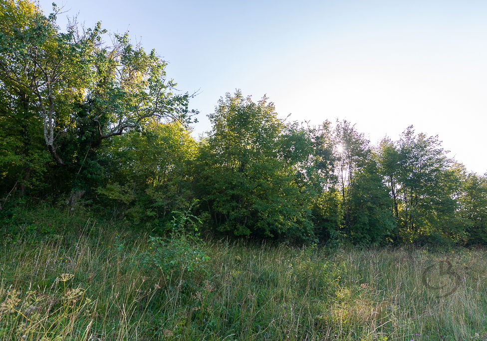 Lokacija: Obalno - kraška, Piran, Sv. Peter