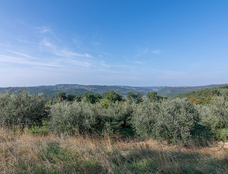 Lokacija: Obalno - kraška, Piran, Sv. Peter