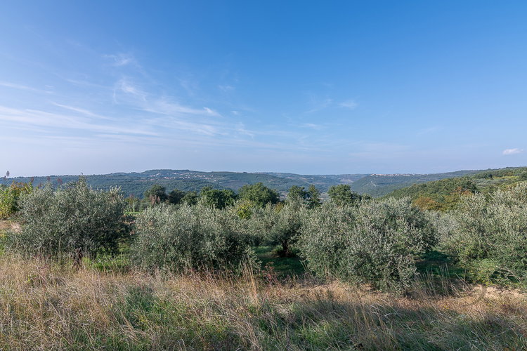 Location: Obalno - kraška, Piran, Sv. Peter