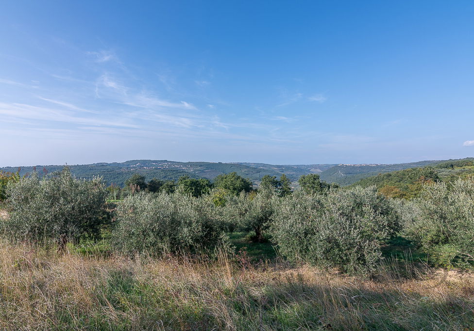 Lokacija: Obalno - kraška, Piran, Sv. Peter