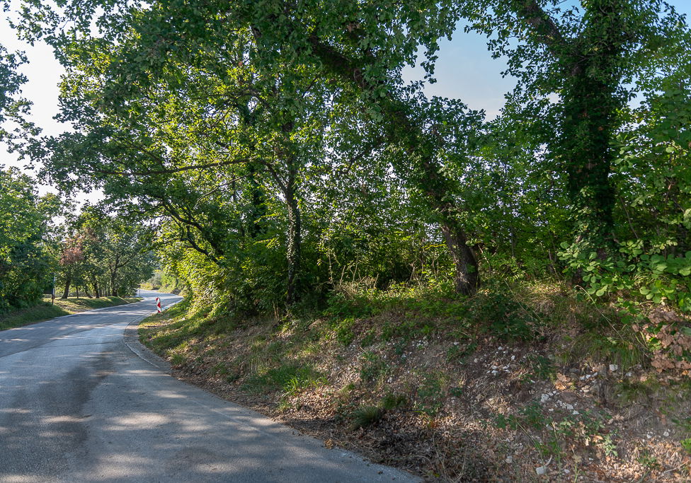 Lokacija: Obalno - kraška, Piran, Sv. Peter