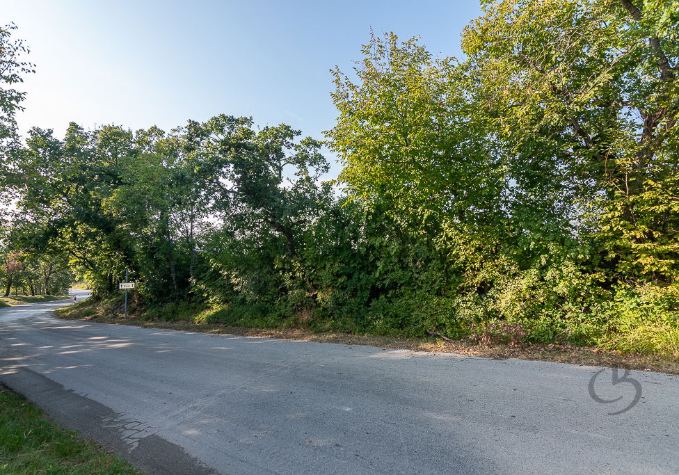 Lokacija: Obalno - kraška, Piran, Sv. Peter