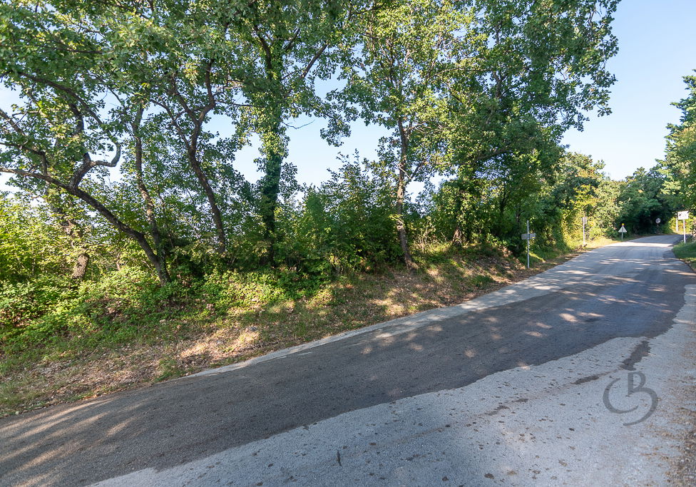 Lokacija: Obalno - kraška, Piran, Sv. Peter