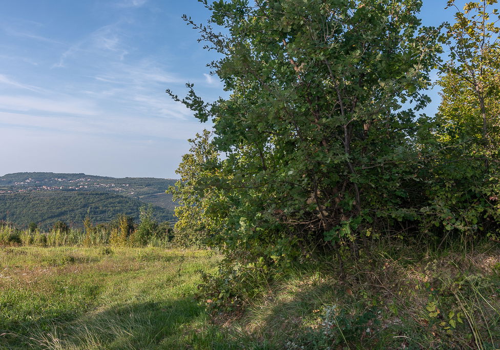 Lokacija: Obalno - kraška, Piran, Sv. Peter