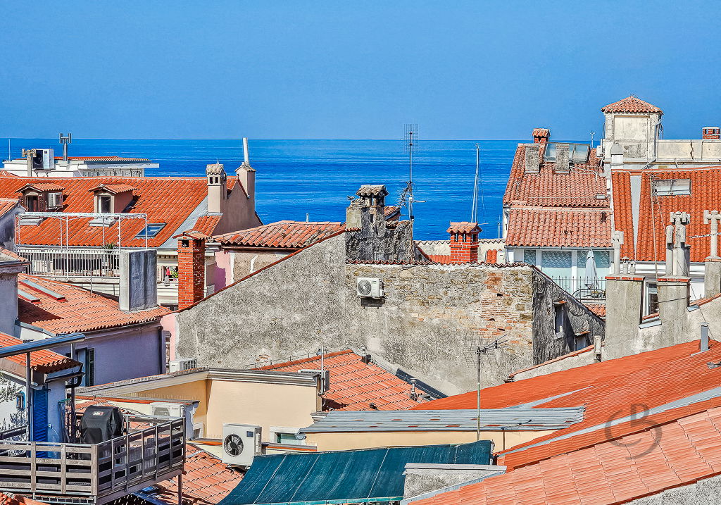 Lokacija: Obalno - kraška, Piran, Center