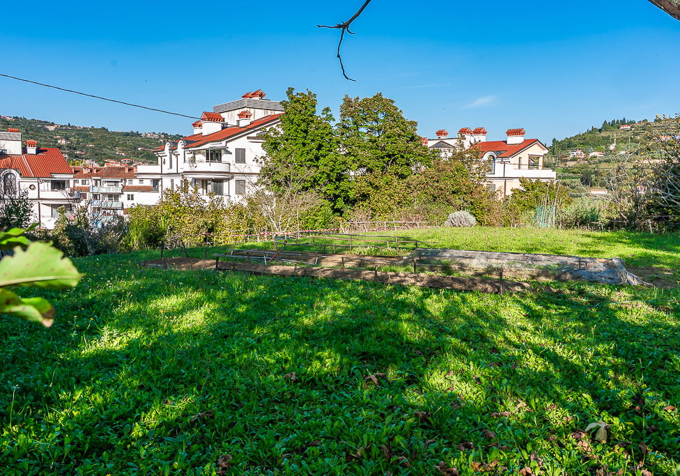 Lokacija: Obalno - kraška, Piran, Lucija