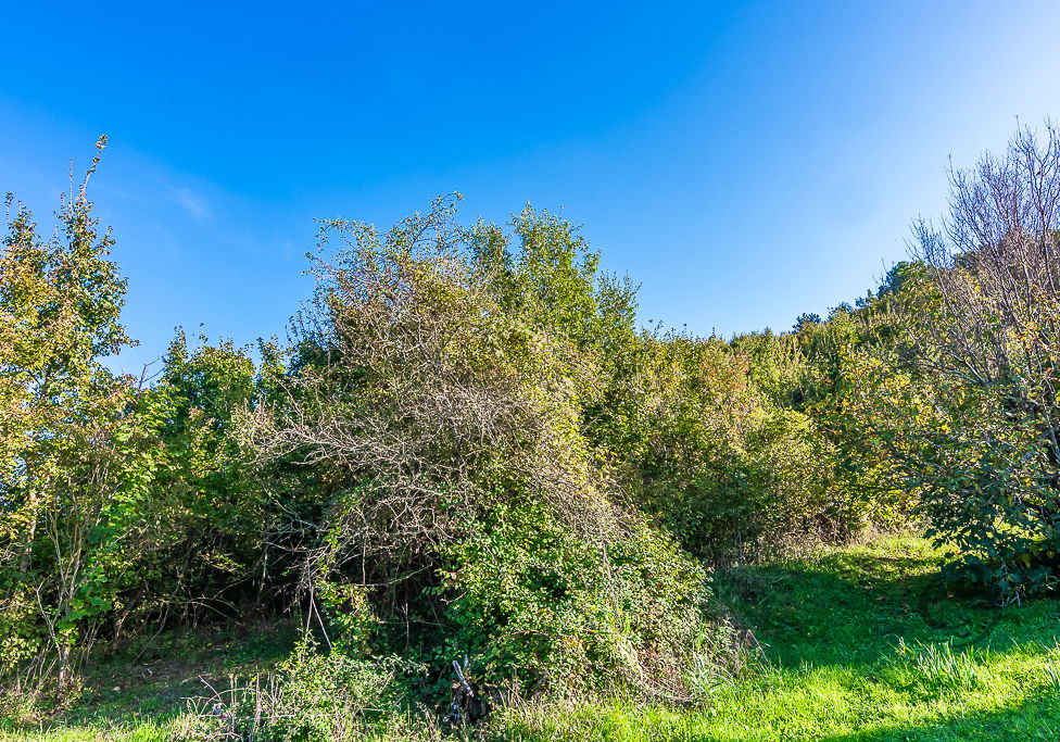 Lokacija: Obalno - kraška, Piran, Lucija