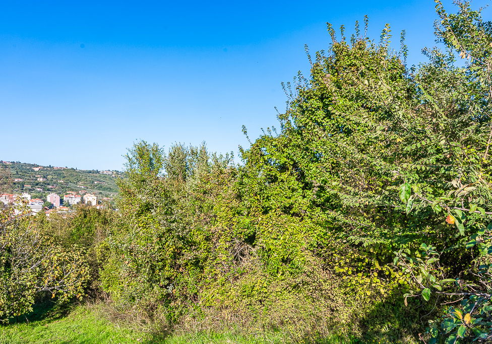 Lokacija: Obalno - kraška, Piran, Lucija