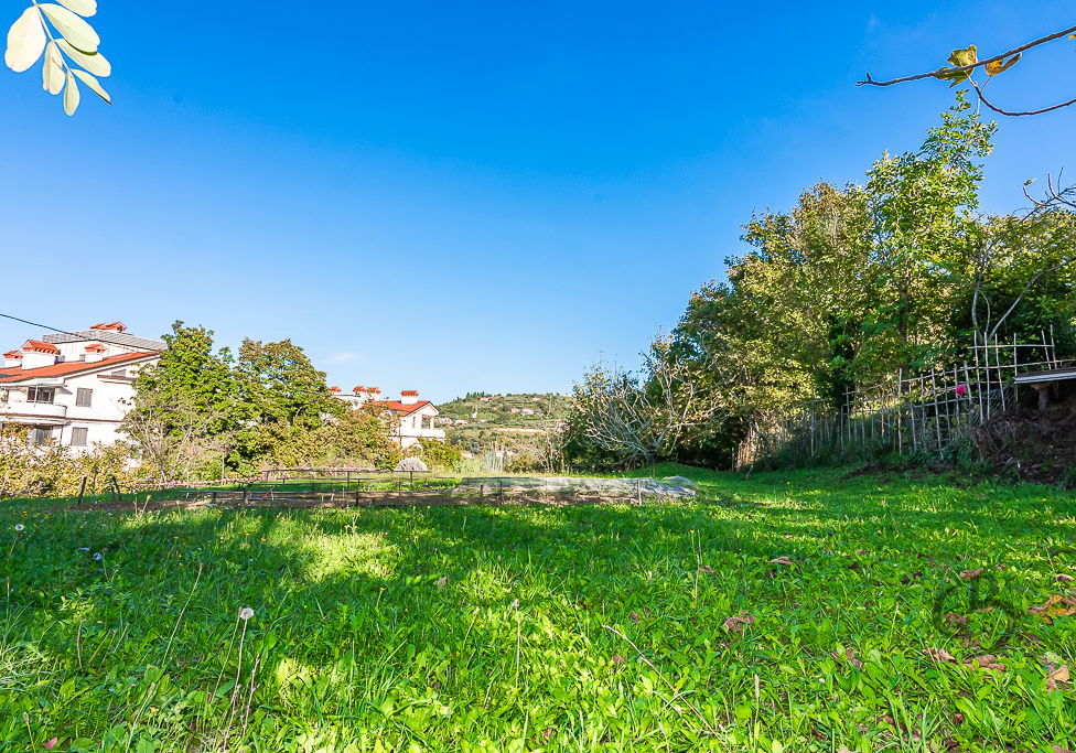 Lokacija: Obalno - kraška, Piran, Lucija