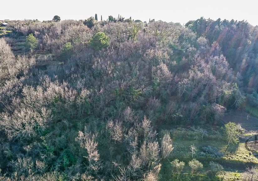 Lokacija: Obalno - kraška, Piran, Lucija