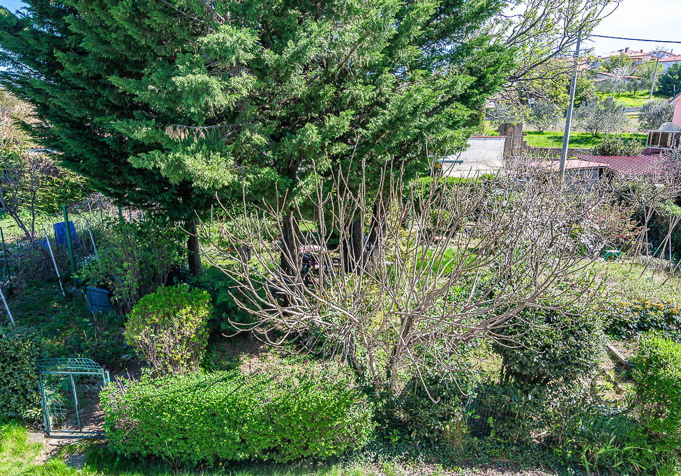 Lokacija: Obalno - kraška, Koper, Šmarje