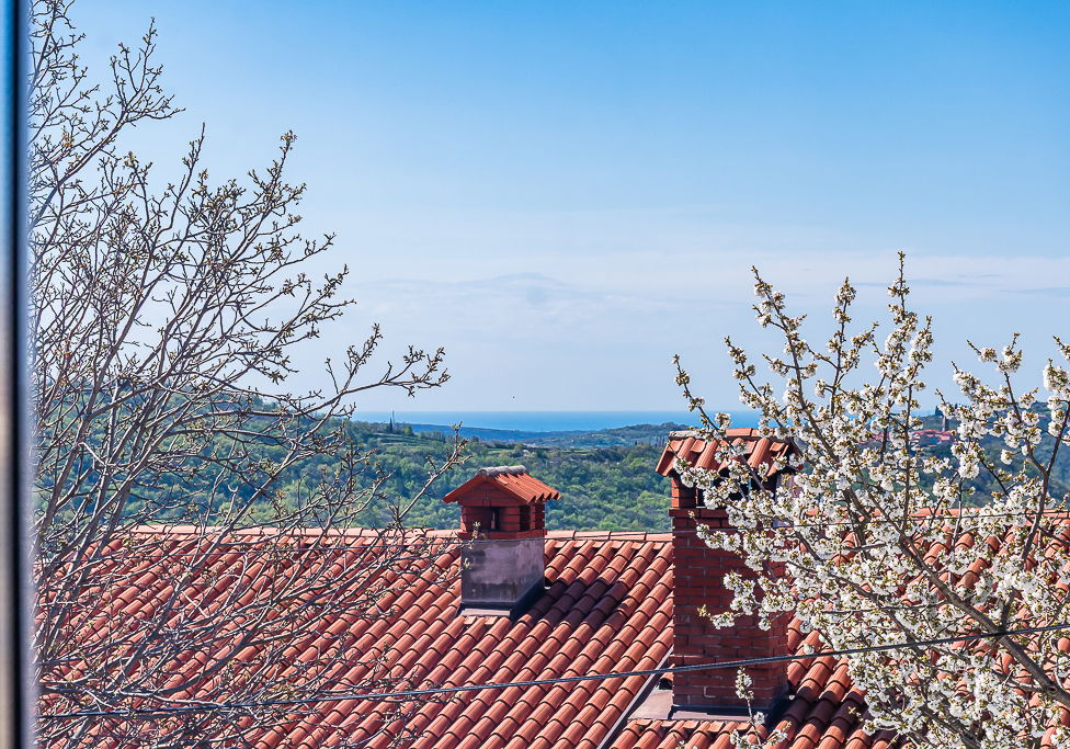 Lokacija: Obalno - kraška, Koper, Šmarje