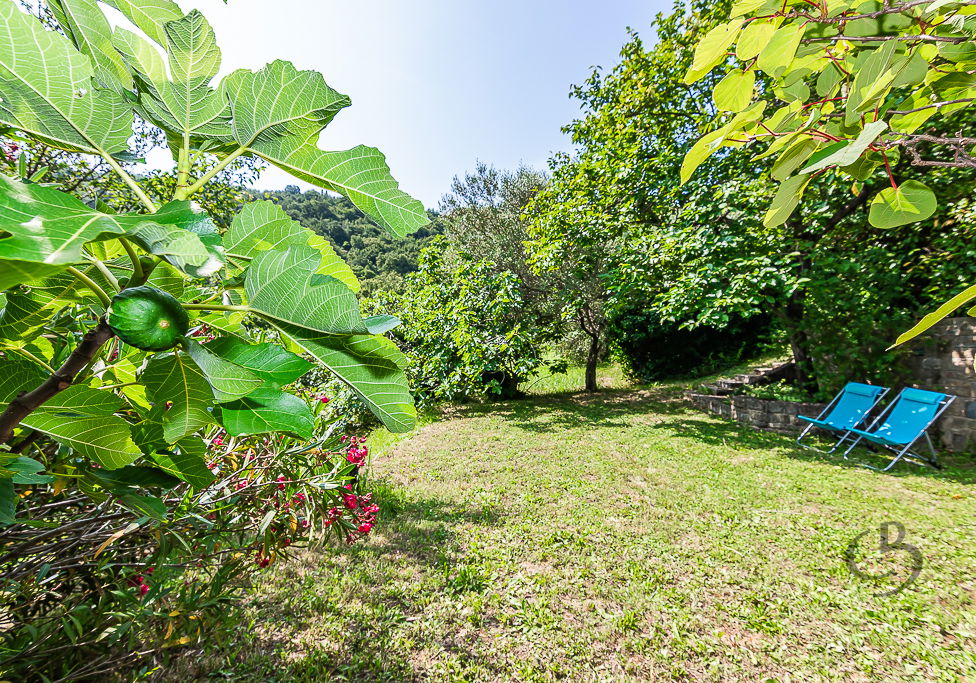 Location: Coastal-Karst, Piran, Valeta