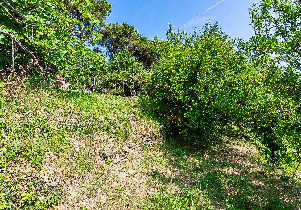 Location: Coastal-Karst, Piran, Valeta