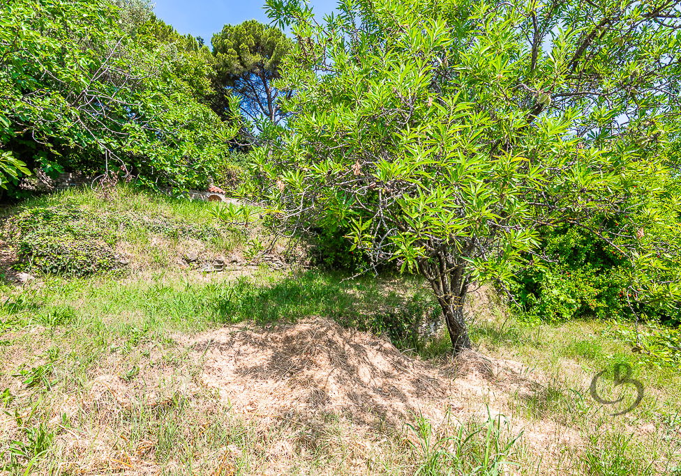 Location: Coastal-Karst, Piran, Valeta