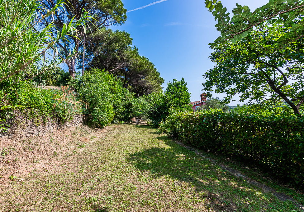 Location: Coastal-Karst, Piran, Valeta