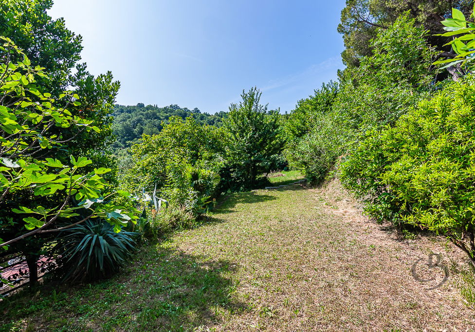 Location: Coastal-Karst, Piran, Valeta