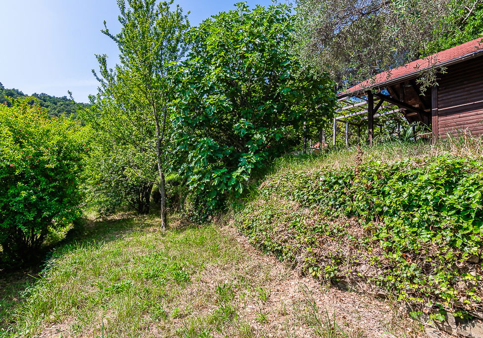 Location: Coastal-Karst, Piran, Valeta