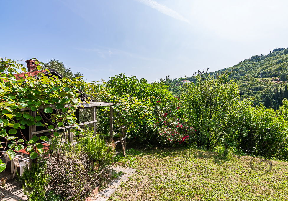 Location: Coastal-Karst, Piran, Valeta