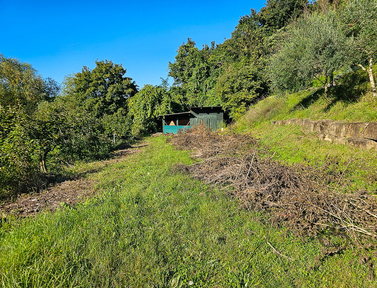 Lokacija: Obalno - kraška, Piran, Strunjan