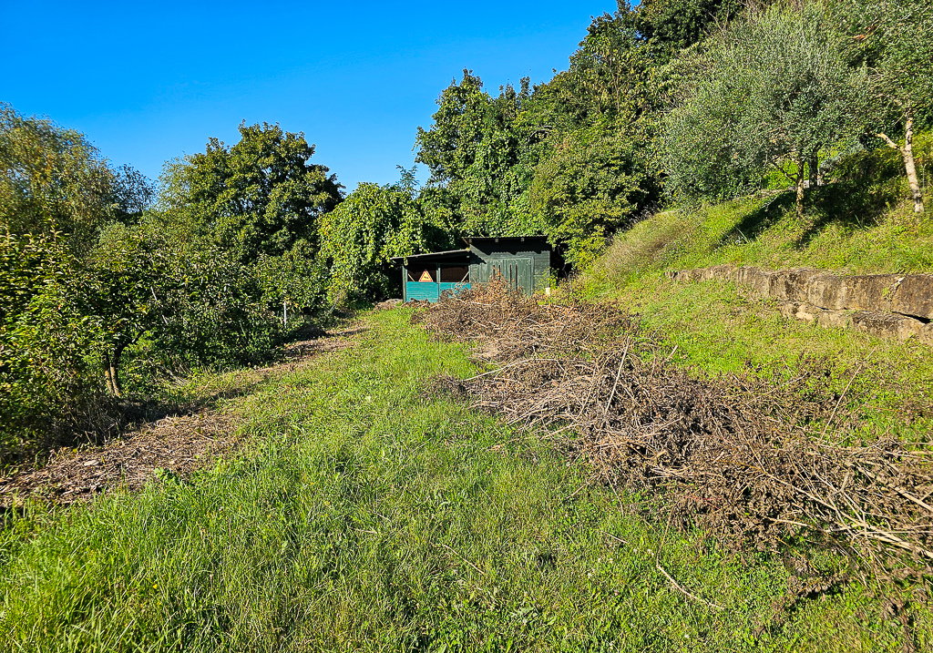Location: Obalno - kraška, Piran, Strunjan