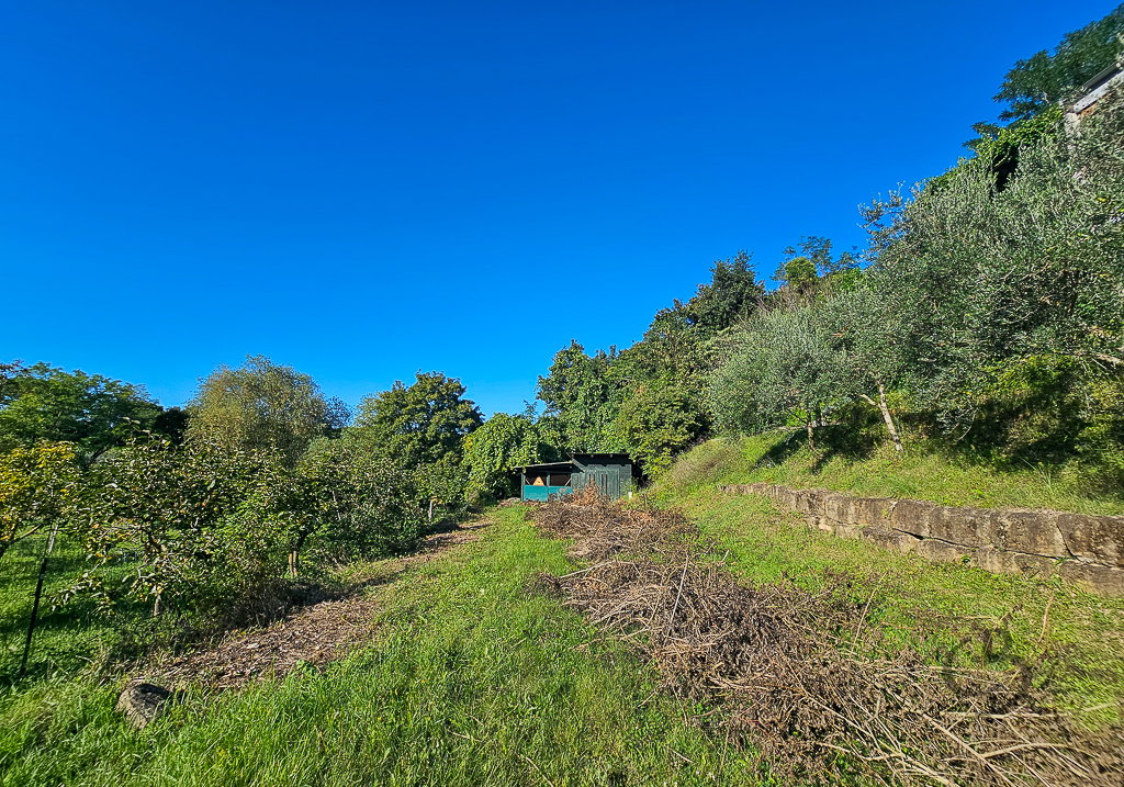 Location: Obalno - kraška, Piran, Strunjan