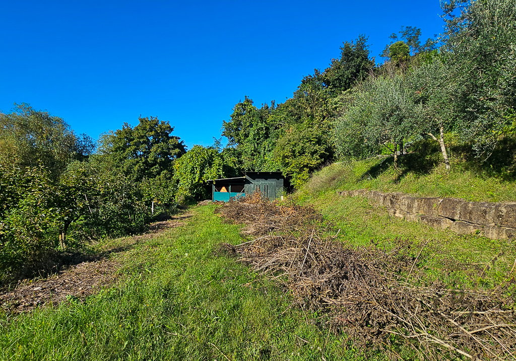 Location: Obalno - kraška, Piran, Strunjan