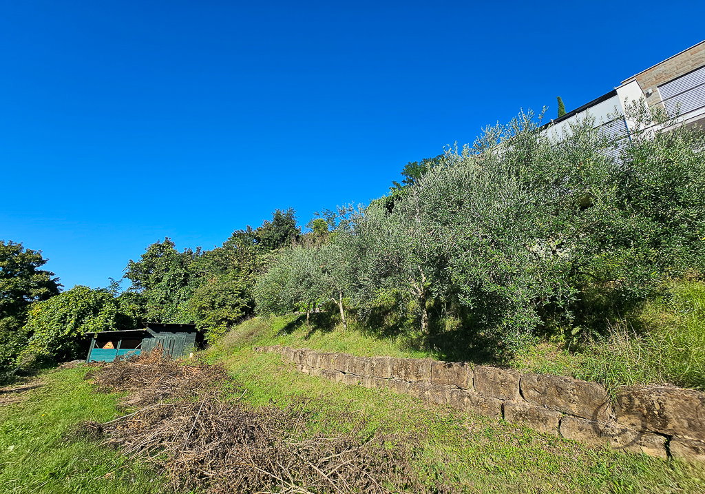 Location: Obalno - kraška, Piran, Strunjan