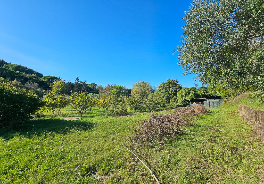 Location: Obalno - kraška, Piran, Strunjan