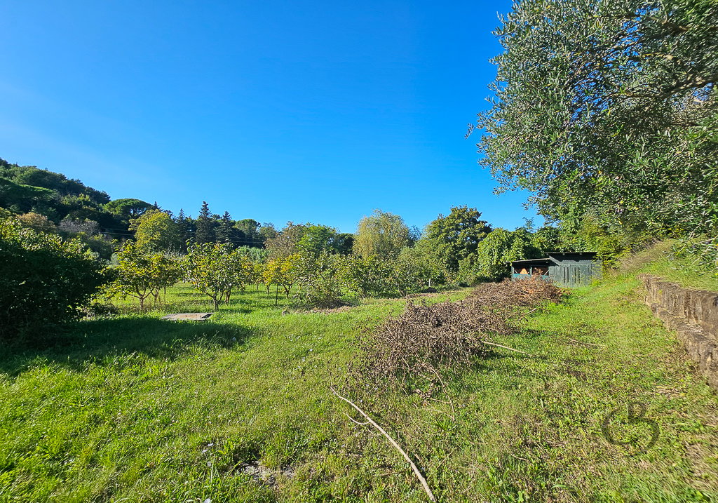 Location: Obalno - kraška, Piran, Strunjan