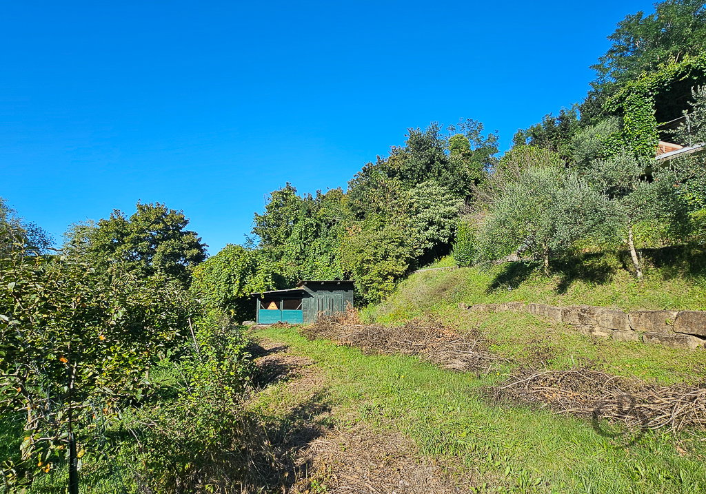 Location: Obalno - kraška, Piran, Strunjan