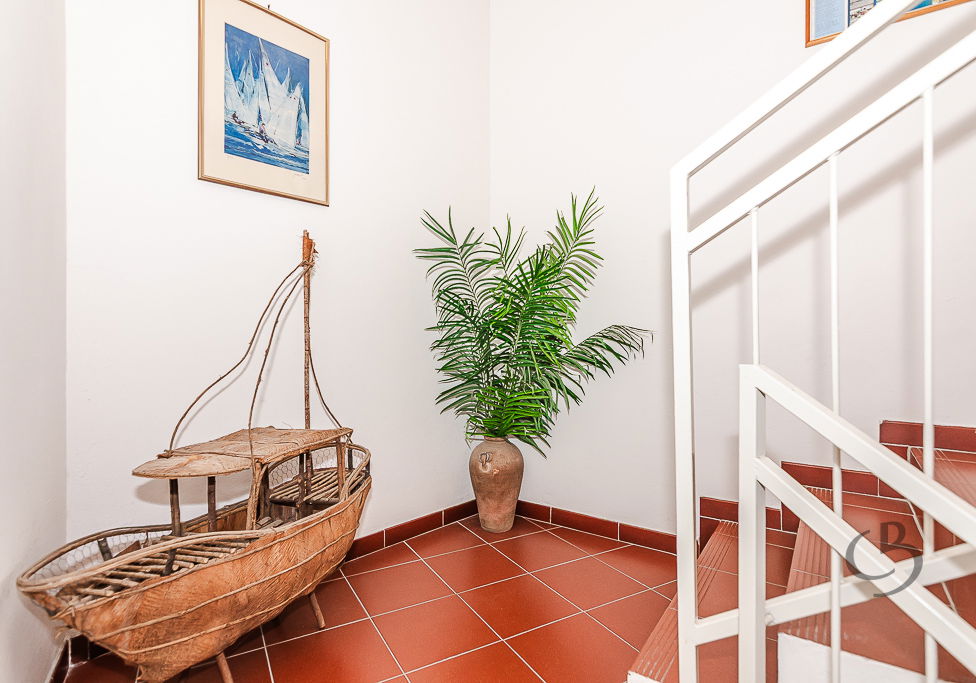 Lokacija: Obalno - kraška, Piran, Center