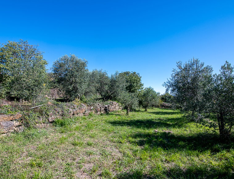 Lokacija: Obalno - kraška, Koper, Koštabona