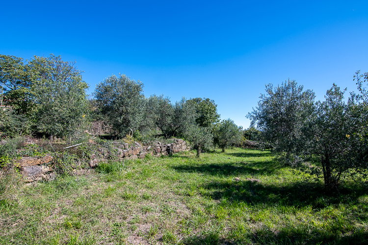Lokacija: Obalno - kraška, Koper, Koštabona