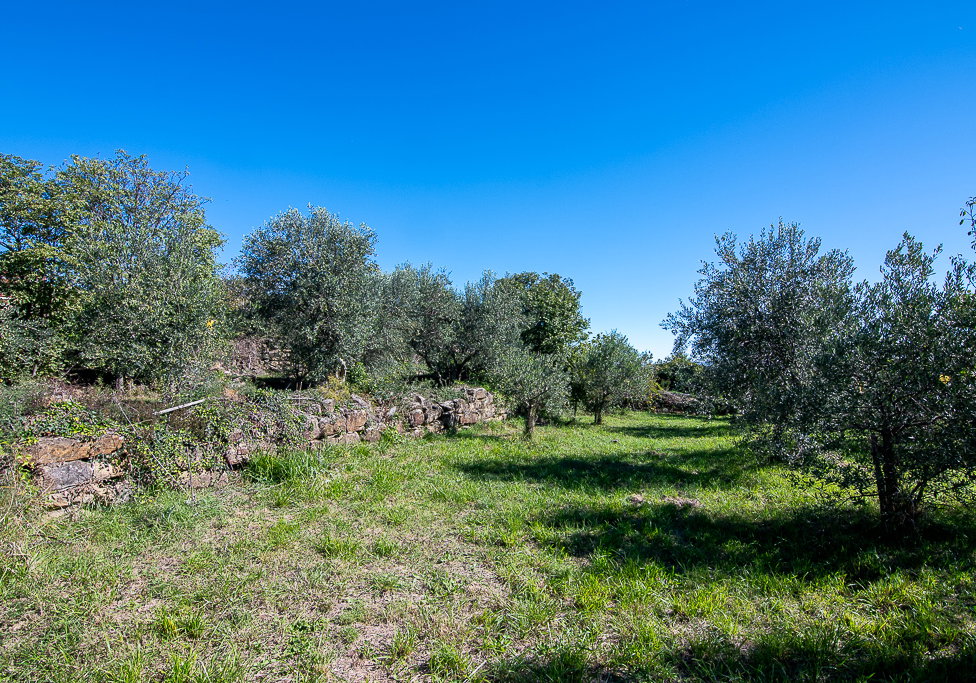 Lokacija: Obalno - kraška, Koper, Koštabona