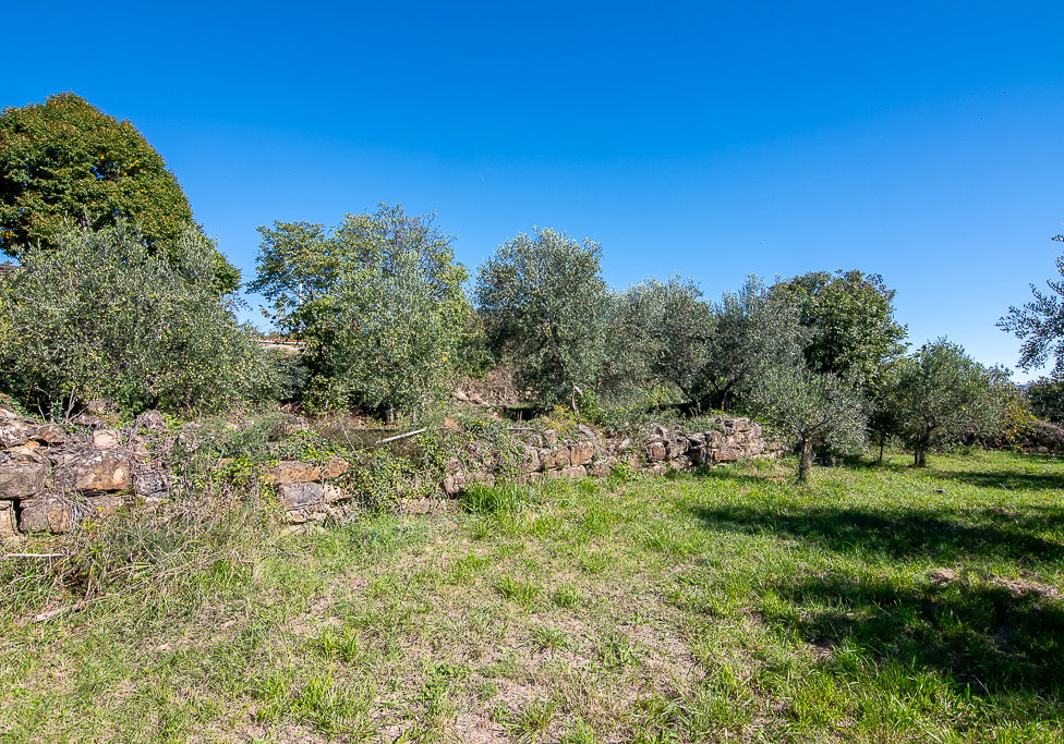 Lokacija: Obalno - kraška, Koper, Koštabona