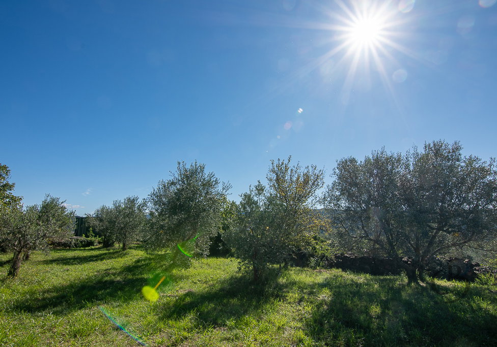 Lokacija: Obalno - kraška, Koper, Koštabona