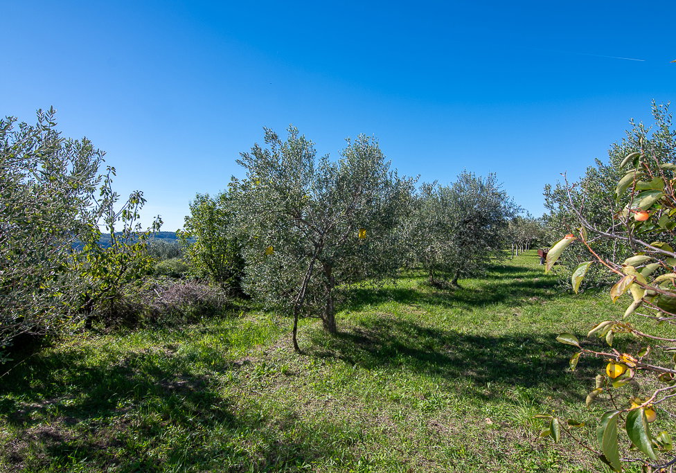 Lokacija: Obalno - kraška, Koper, Koštabona