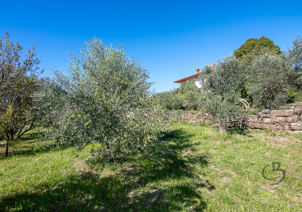 Lokacija: Obalno - kraška, Koper, Koštabona